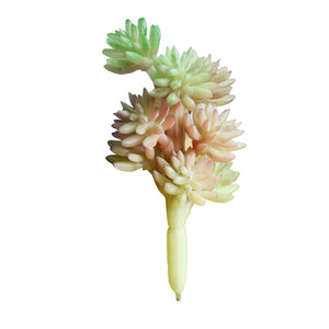 Plastic Succulent Plants